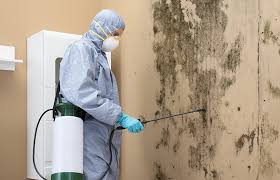 Mold Remediation for Rental Properties in Chesterbrook, PA